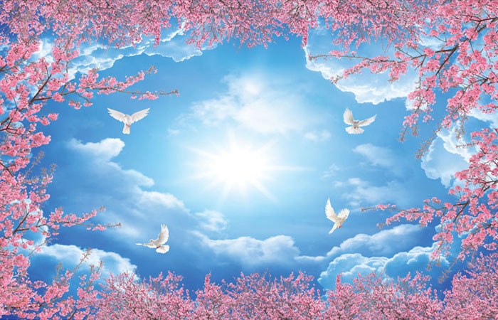 پوستر آسمان مجازی یا پوستر دیواری با طرح آسمان آبی ، خورشید ، کبوتر با حاشیه شکوفه های صورتی